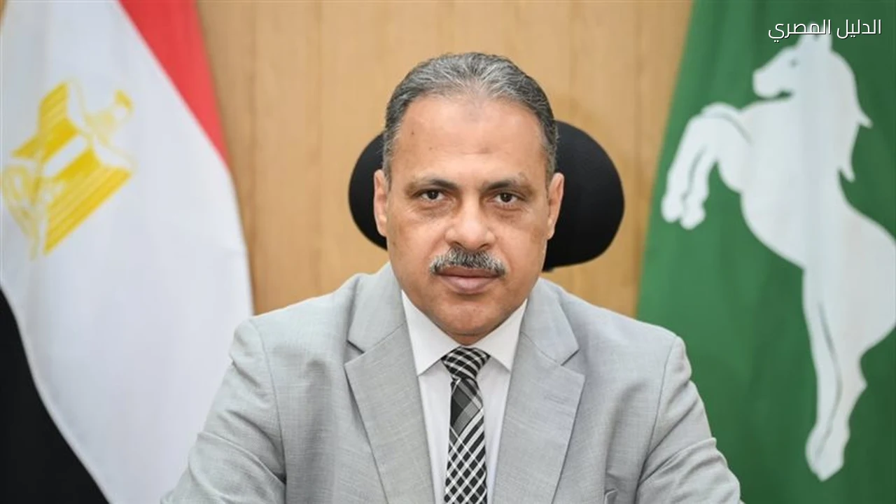 محافظ الشرقية يصدر 13 قرارا تأديبيا بحق 34 عاملا