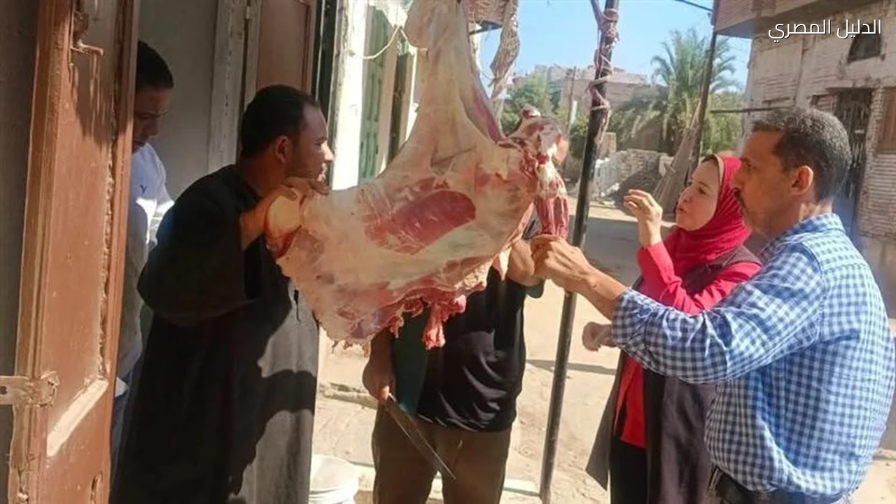 محافظ المنيا يعلن ضبط 814 كيلو لحوم ودواجن فاسدة