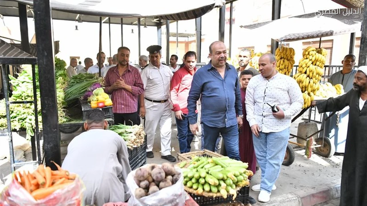 محافظ قنا يوجه بتكثيف الحملات بالسوق الحضاري بنجع حمادي