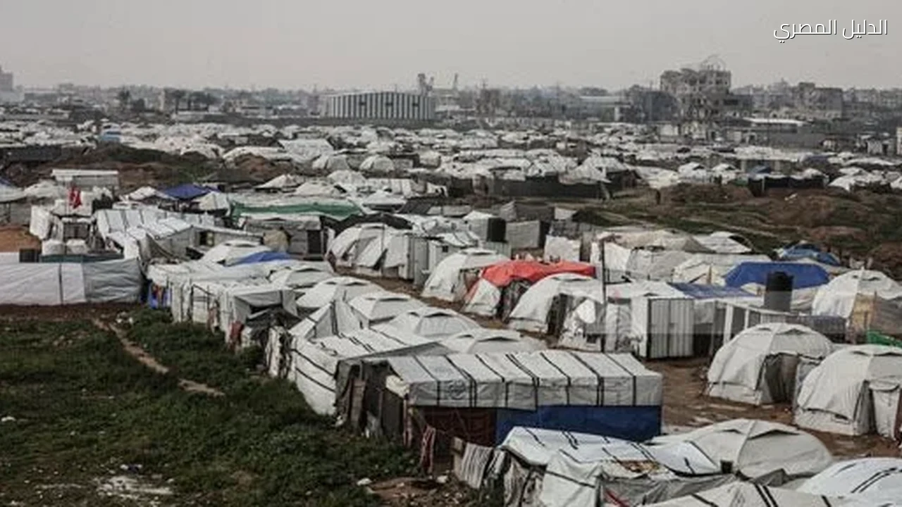 مصدر مطلع: مصر لم ولن تقبل بتهجير سكان غزة وإنهاء القضية الفلسطينية