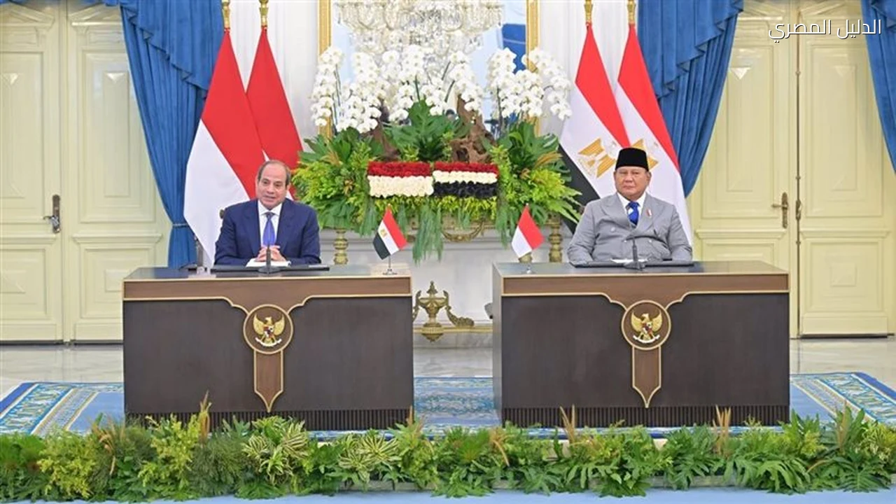 مصر وإندونيسيا توسعان التعاون في التعليم والثقافة والشباب