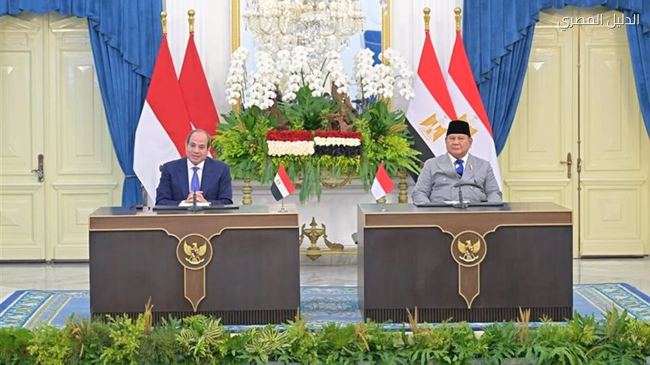 مصر وإندونيسيا تشددان على مبدأ عدم الإضرار في إدارة المجاري المائية العابرة للحدود