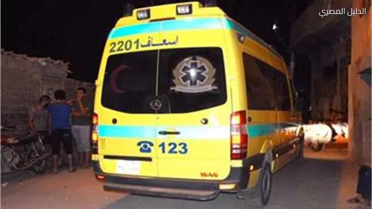 مصرع طبيب أسنان وإصابة آخر في انقلاب موتوسيكل بقنا