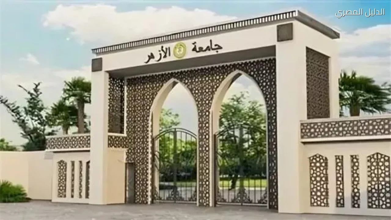 أوائل الأزهر يواجهون تأخر التعيين وسط تضامن واسع
