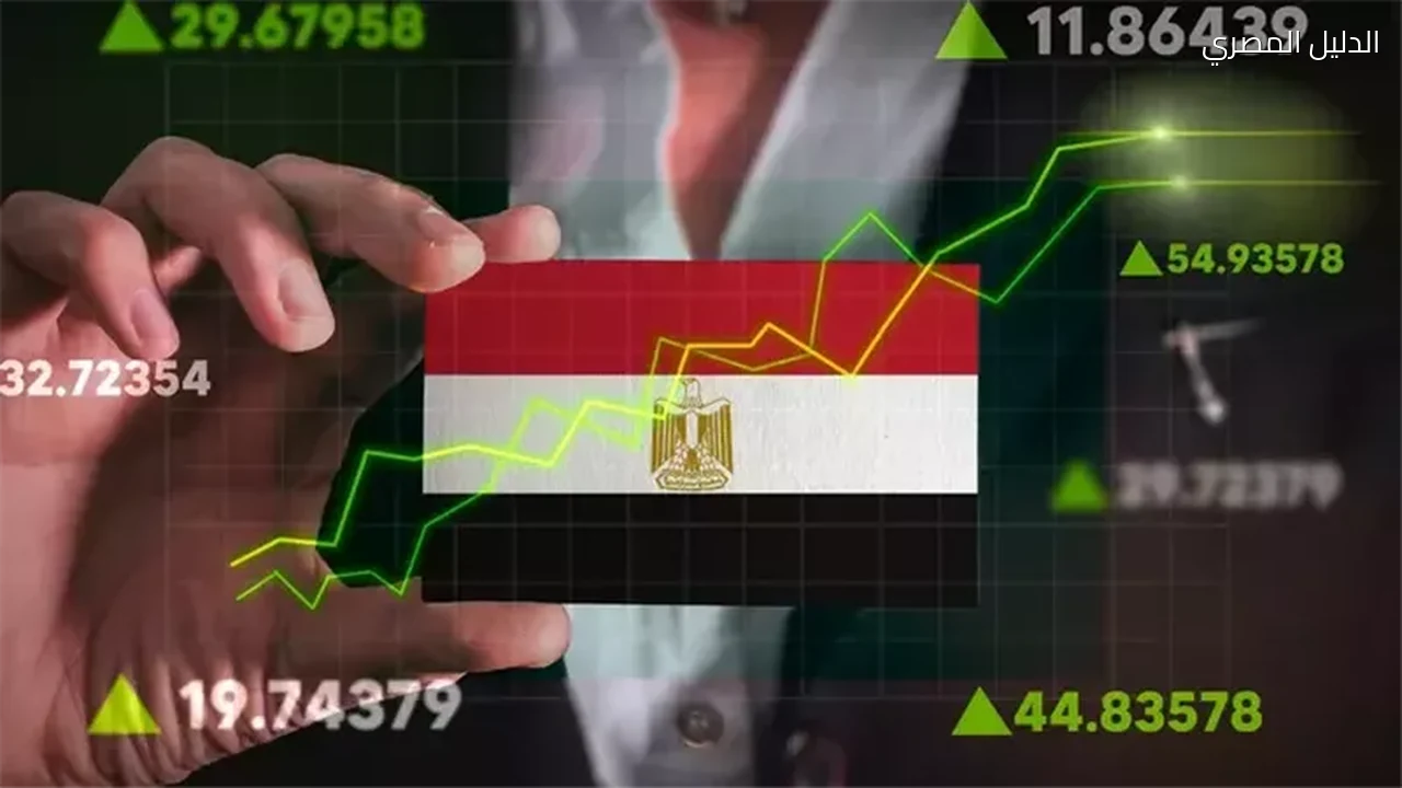 النمو في مصر هل يصل إلى جيوب المواطنين