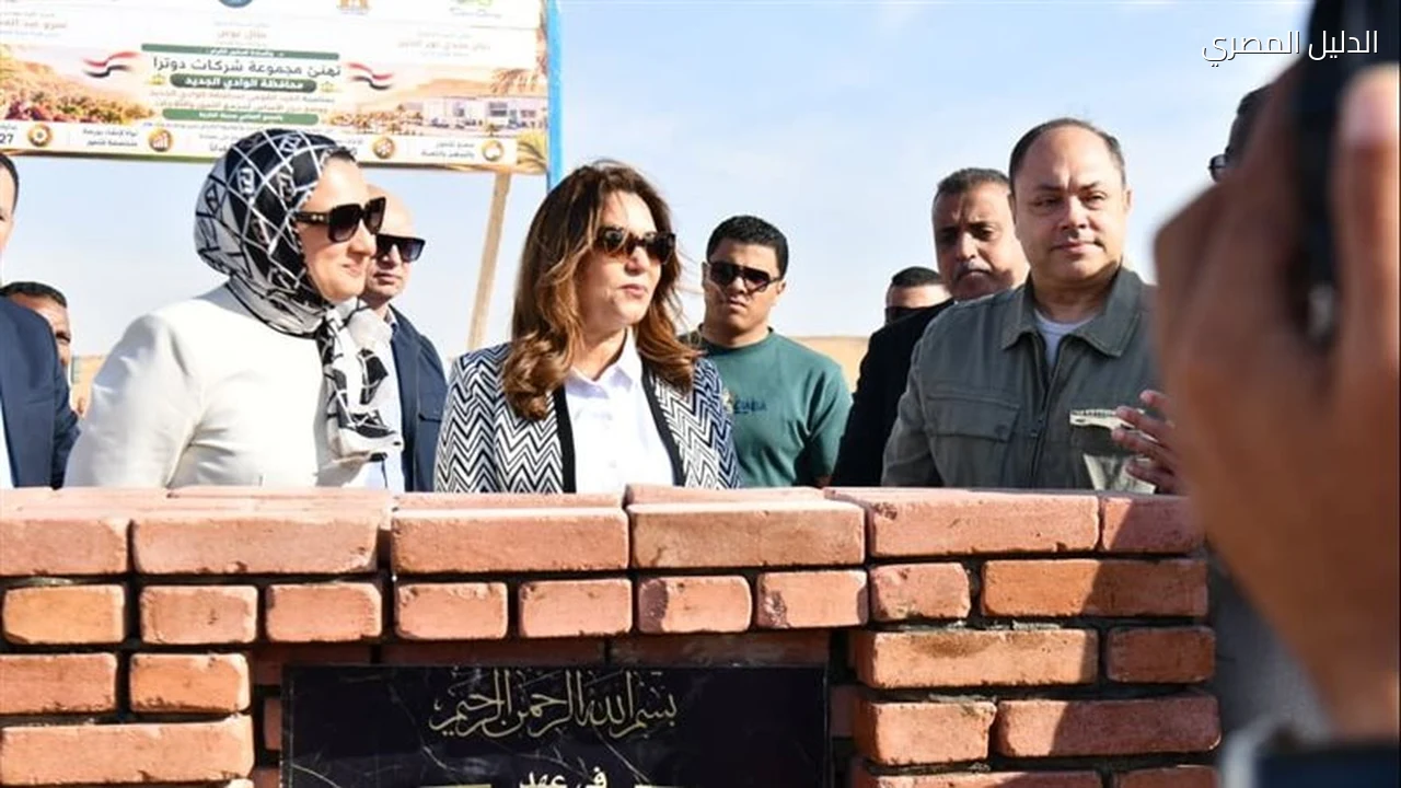 الوادي الجديد مجمع للتمور لتعظيم أرباح المزارعين