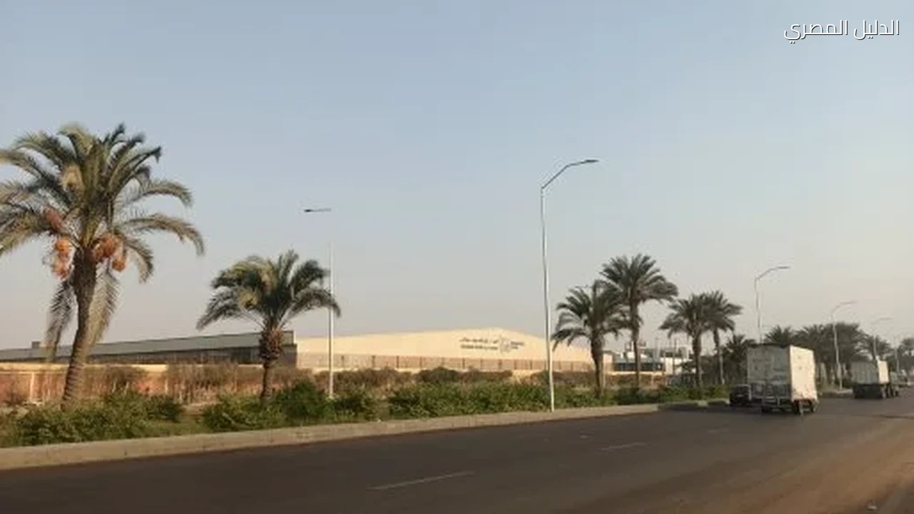 منخفض جوى.. الأرصاد تحذر من 4 ظواهر جوية