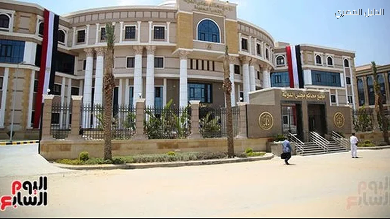 موعد استكمال إجراءات تعيين 305 مندوبين مساعدين جدد بمجلس الدولة