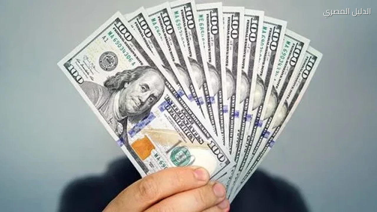 نشرة أسعار الدولار: الأخضر يرتفع أمام الجنيه في 14 بنكا