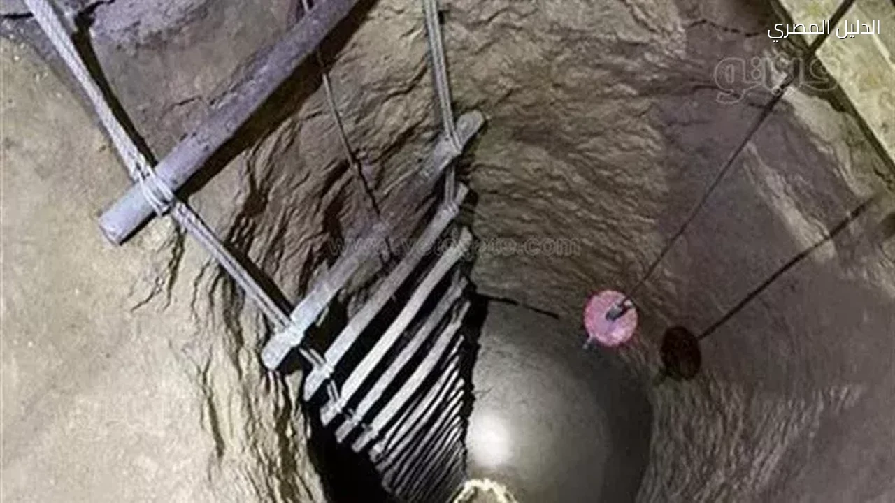 حوادث وقضايا عاطل يعترف بالحفر عن الآثار بالمعصرة