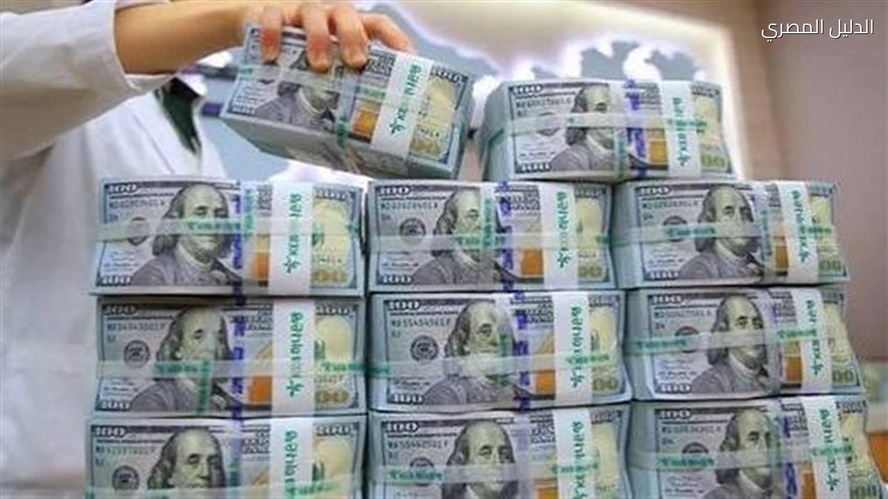 النقد الأجنبي عامل يحاكم بتهمة الاتجار خارج السوق المصرفية