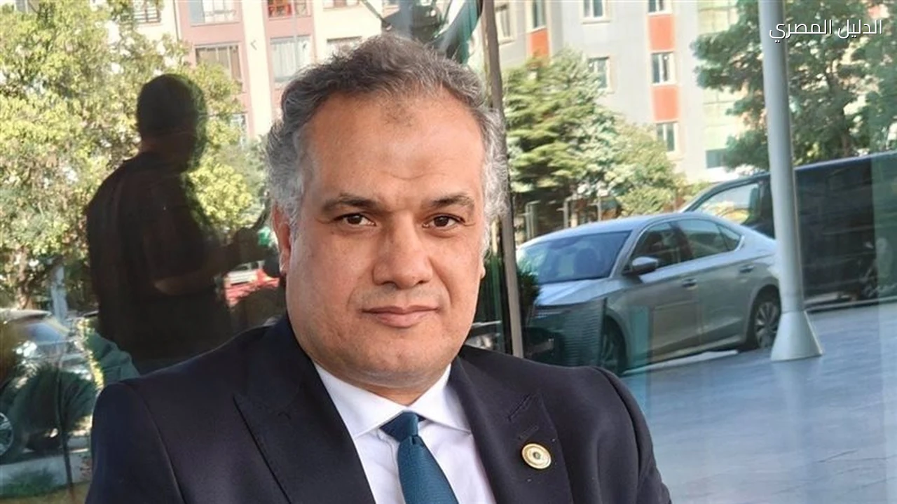 الإخوان بين الاحتواء والصدام قراءة هشام النجار