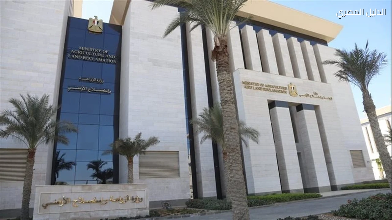 وزارة الزراعة في أسبوع 1037 ترخيصًا وضبط 175 طن لحوم