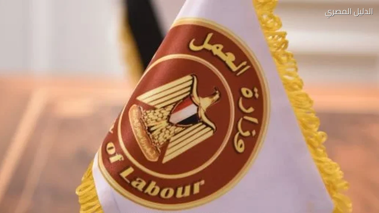 وزارة العمل: 100 فرصة عمل موسمية بالزراعة في إسبانيا براتب 64 ألف جنيه شهريا