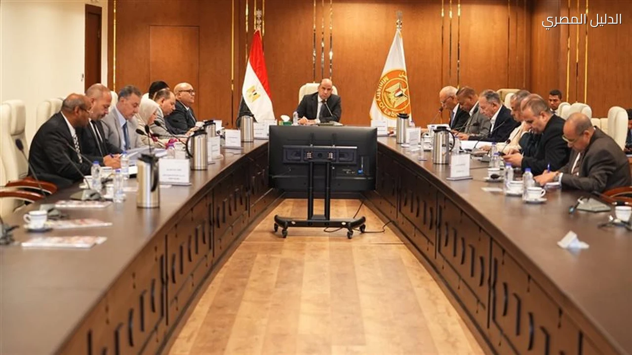 وزارة العمل تضخ 25.1 مليون جنيه لدعم التدريب خلال سبتمبر 2026
