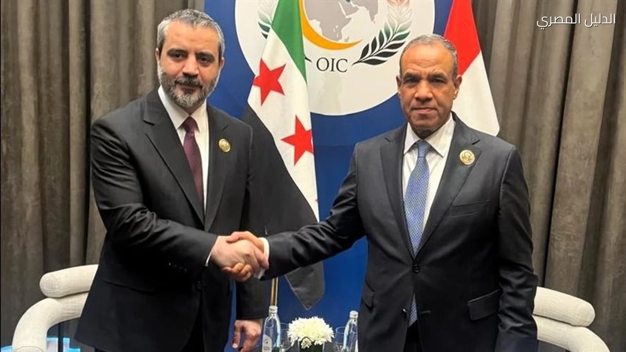 وزير الخارجية يؤكد رفض مصر أي تدخلات تمس السيادة السورية