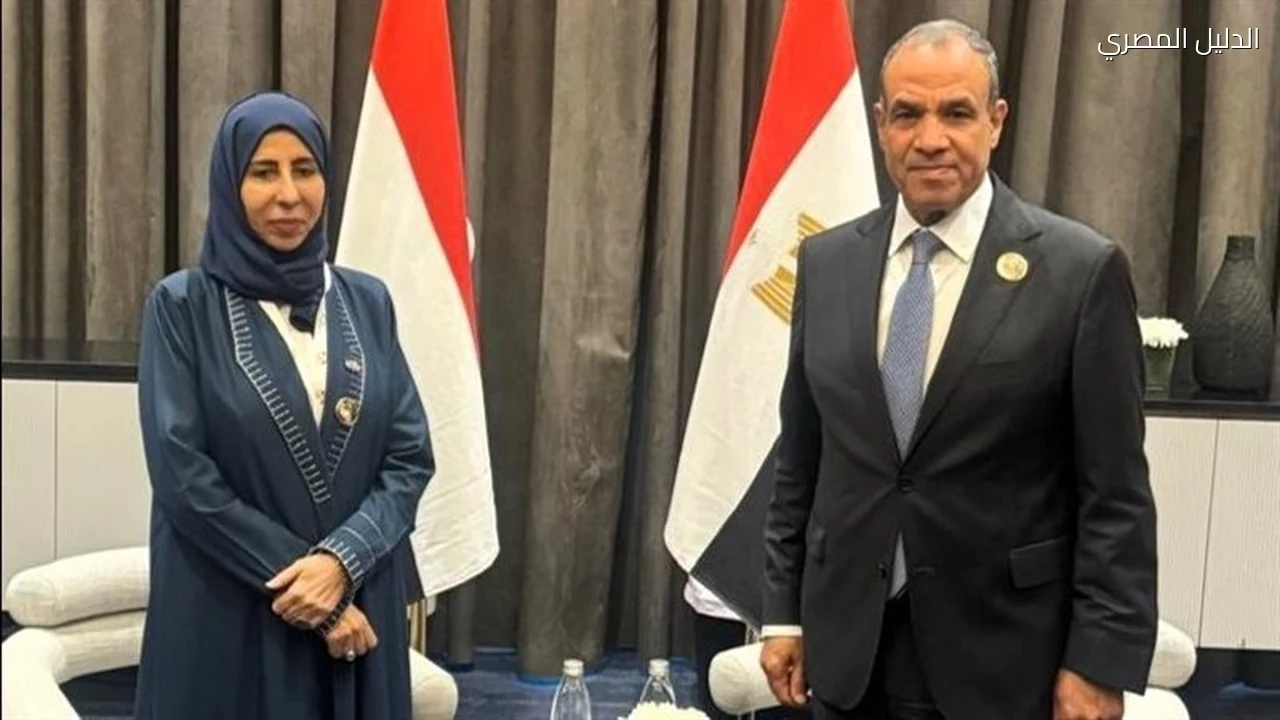 وزير الخارجية يبحث مع نظيرته اليمنية دعم استقرار اليمن