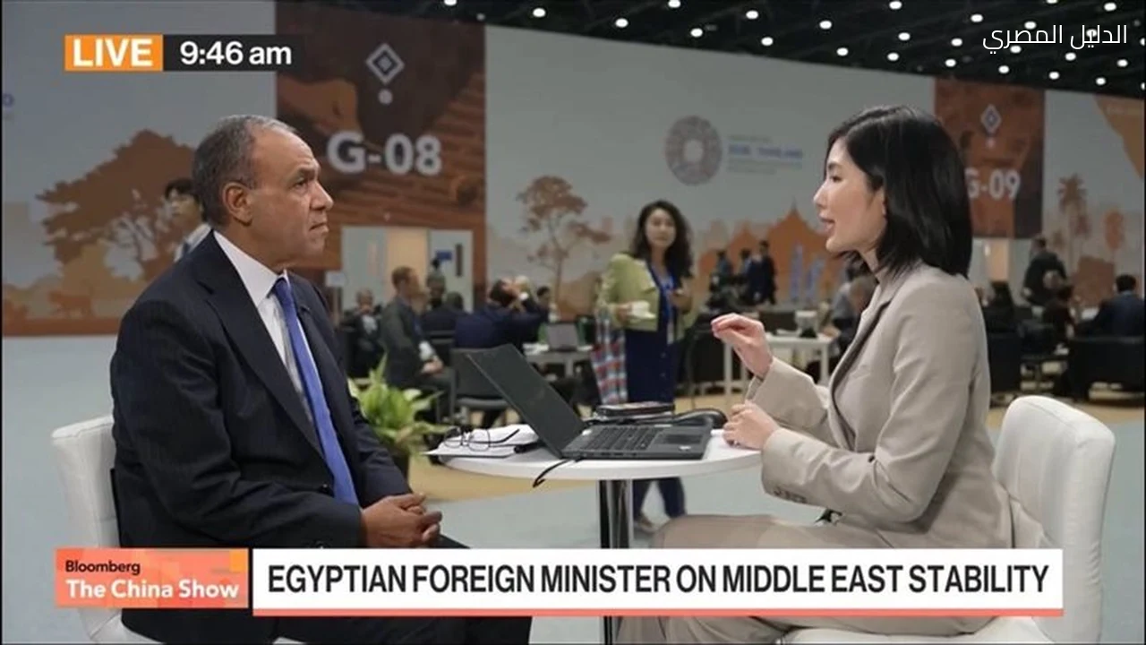 وزير الخارجية يعلق على جولة السيسي الآسيوية مع بلومبرج