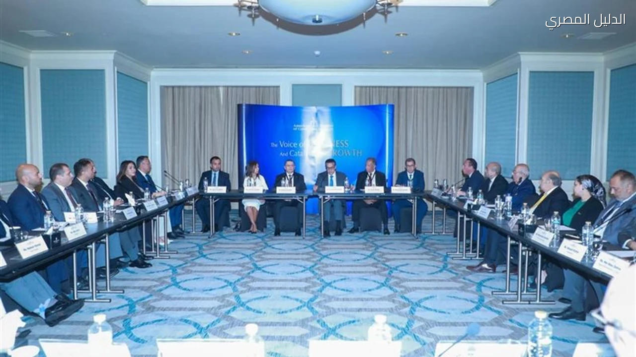 الصحة: الإنتاج المحلي يغطي 91% من احتياجات الدواء المصري