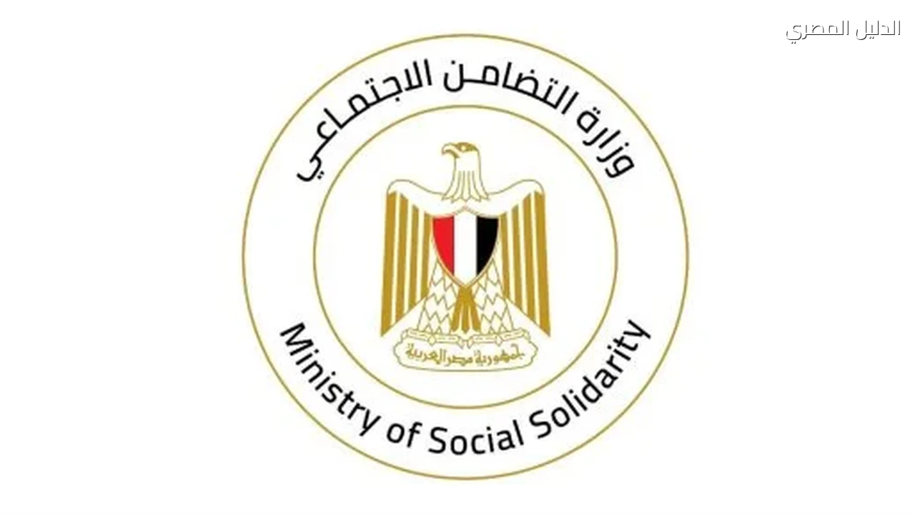 وزيرة التضامن توجه بصرف مساعدات لأسر ضحايا حادث الطريق السياحي بالجيزة