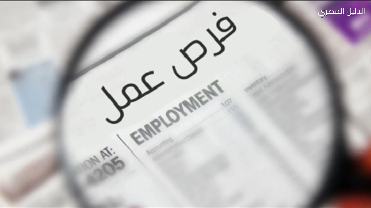 وظائف محافظة المنيا 2026 50 فرصة برواتب حتى 8000 جنيه