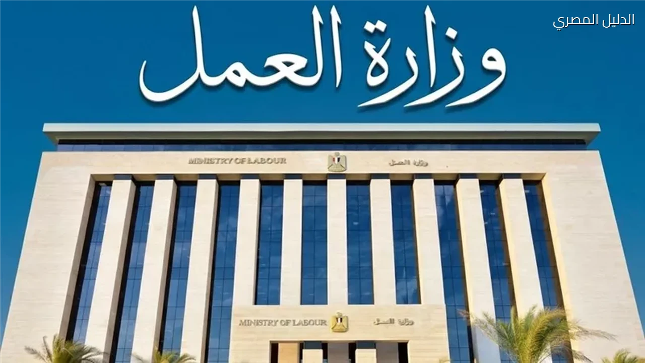 وظائف مشروع الضبعة النووية 2026 برواتب تصل إلى 25 ألف جنيه