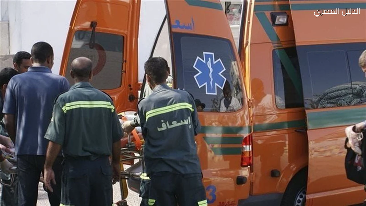 وفاة سائق الربع نقل في حادث تصادم الطريق الزراعي بالقليوبية