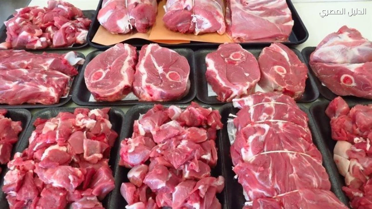 أسعار اللحوم اليوم ارتفاع البتلو بالعظم إلى 437 جنيها