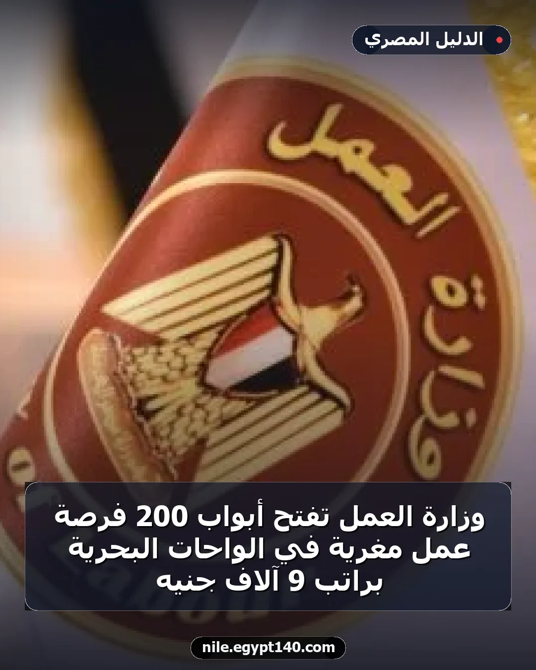 وزارة العمل تفتح أبواب 200 فرصة عمل مغرية في الواحات البحرية براتب 9 آلاف جنيه