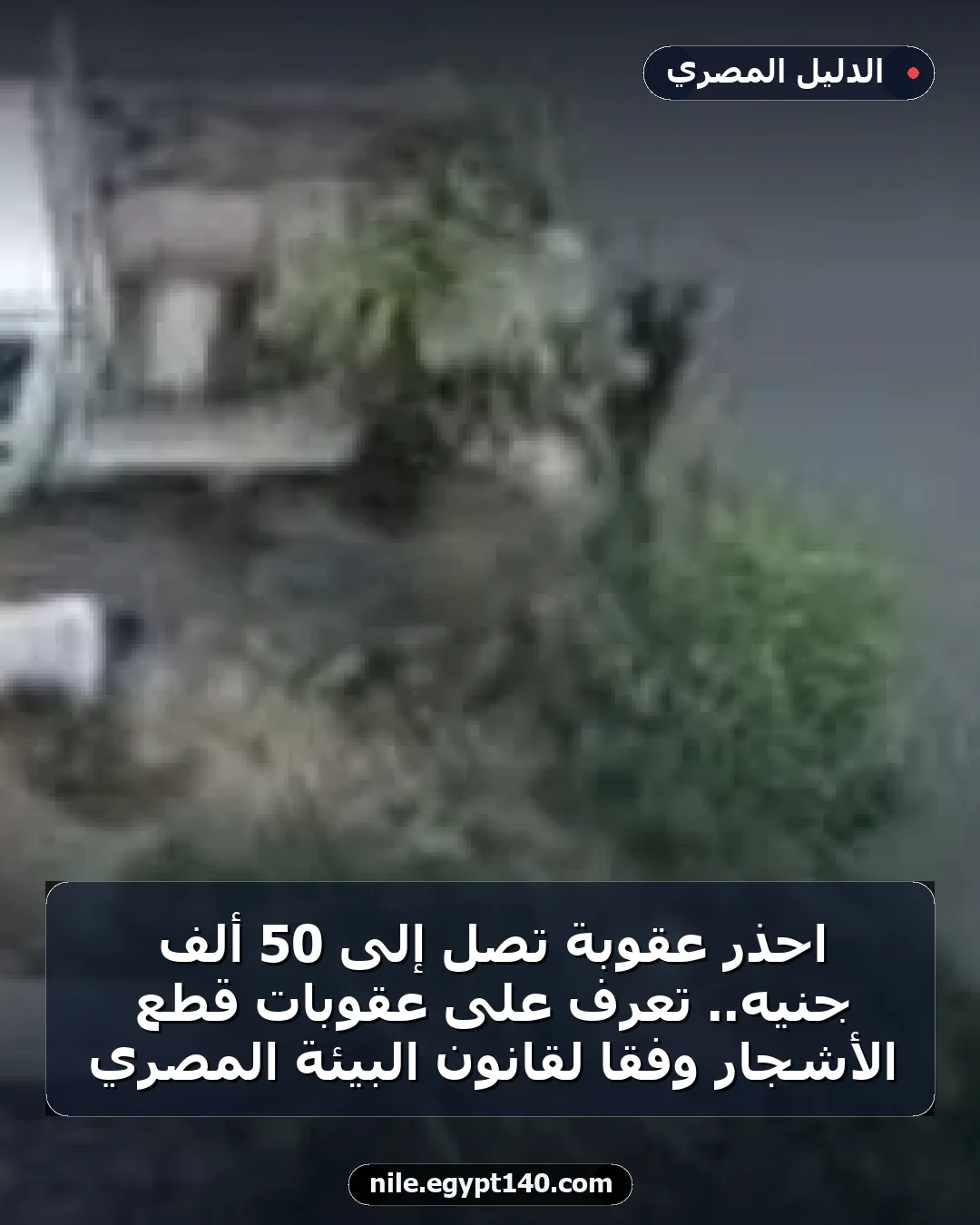 احذر عقوبة تصل إلى 50 ألف جنيه.. تعرف على عقوبات قطع الأشجار وفقًا لقانون البيئة المصري