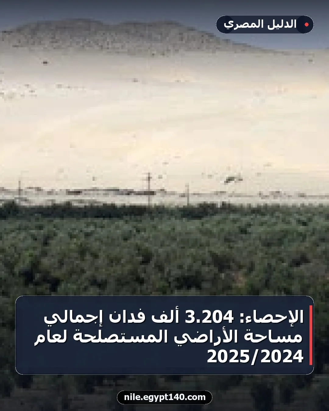 الإحصاء: 204.3 ألف فدان إجمالي مساحة الأراضي المستصلحة لعام 2024/2025
