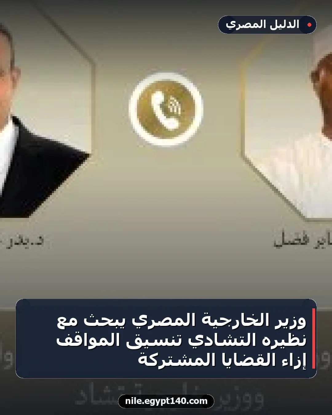 وزير الخارجية المصري يبحث مع نظيره التشادي تنسيق المواقف إزاء القضايا المشتركة