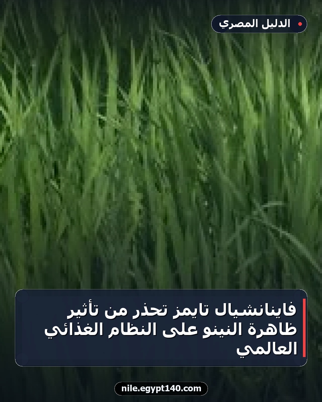 فاينانشيال تايمز تحذر من تأثير ظاهرة النينو على النظام الغذائي العالمي