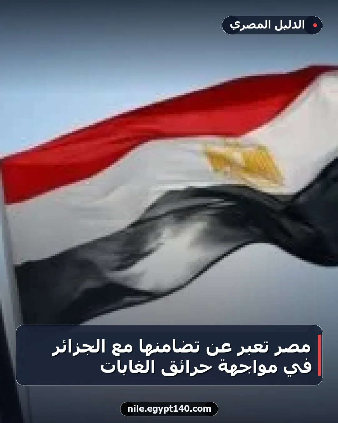 مصر تعبر عن تضامنها مع الجزائر في مواجهة حرائق الغابات
