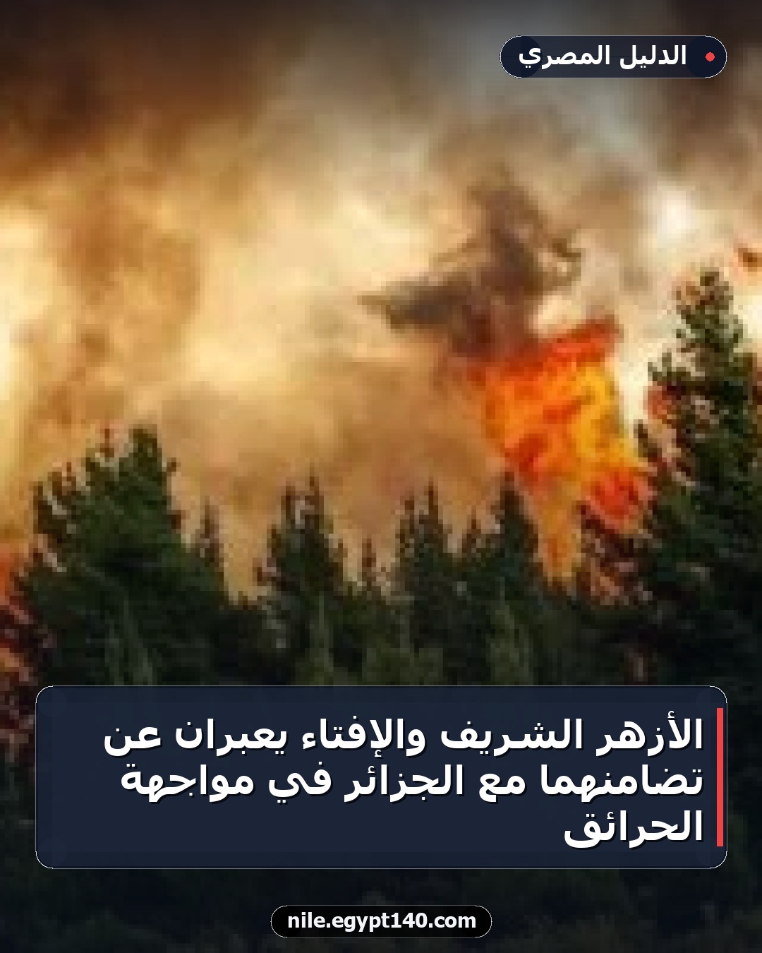 الأزهر الشريف والإفتاء يعبران عن تضامنهما مع الجزائر في مواجهة الحرائق