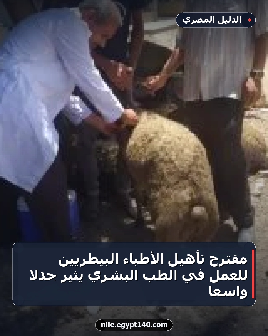 مقترح تأهيل الأطباء البيطريين للعمل في الطب البشري يثير جدلاً واسعاً