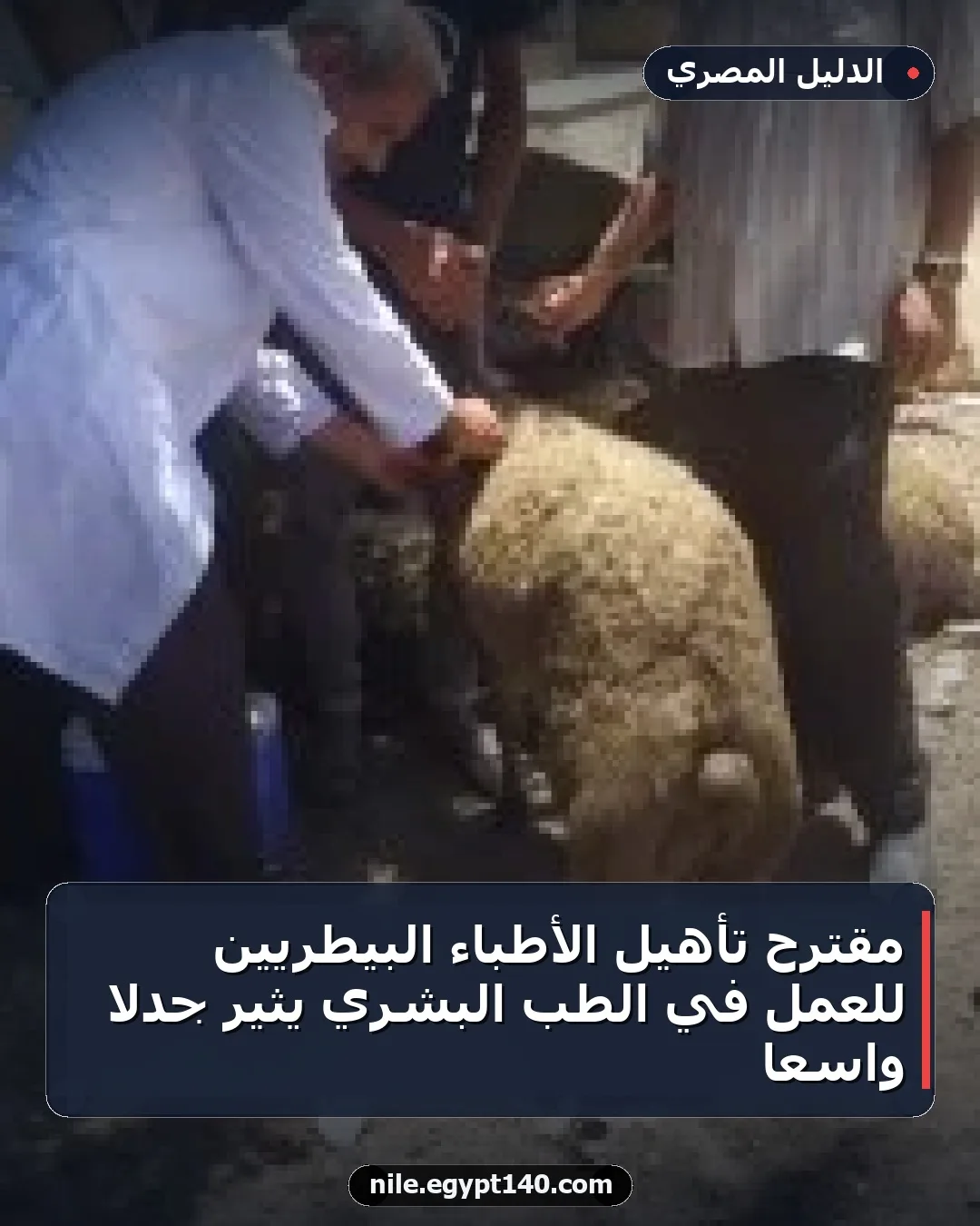مقترح تأهيل الأطباء البيطريين للعمل في الطب البشري يثير جدلاً واسعاً