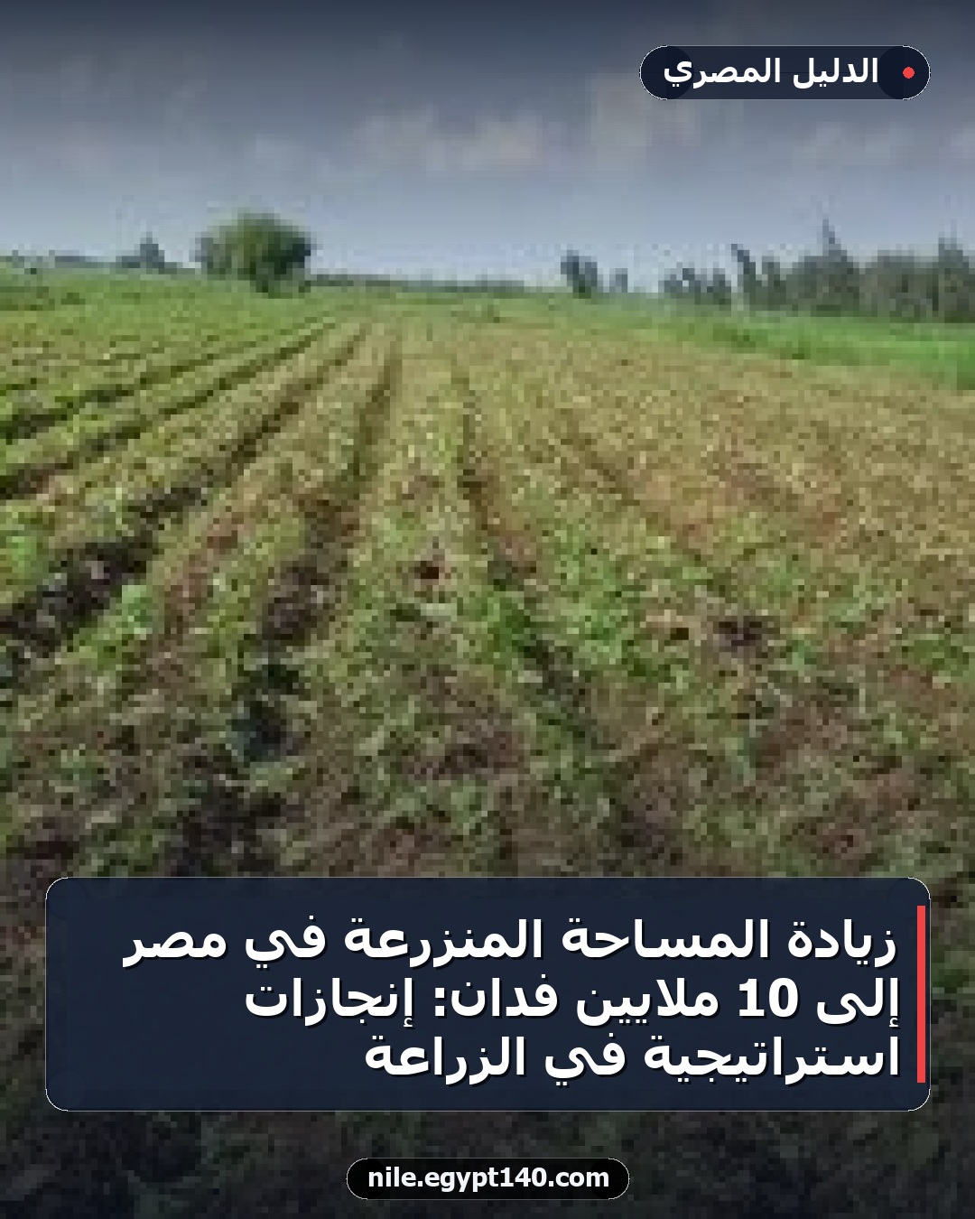 زيادة المساحة المنزرعة في مصر إلى 10 ملايين فدان: إنجازات استراتيجية في الزراعة