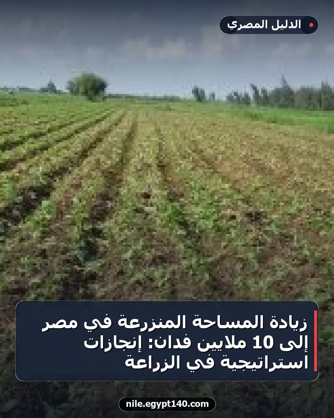 زيادة المساحة المنزرعة في مصر إلى 10 ملايين فدان: إنجازات استراتيجية في الزراعة