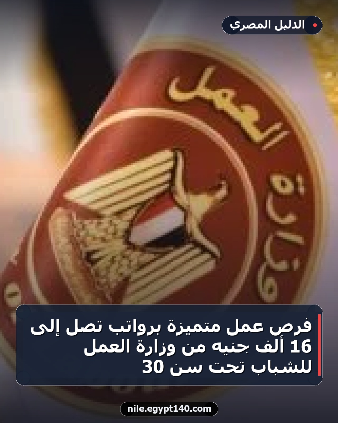 فرص عمل متميزة برواتب تصل إلى 16 ألف جنيه من وزارة العمل للشباب تحت سن 30