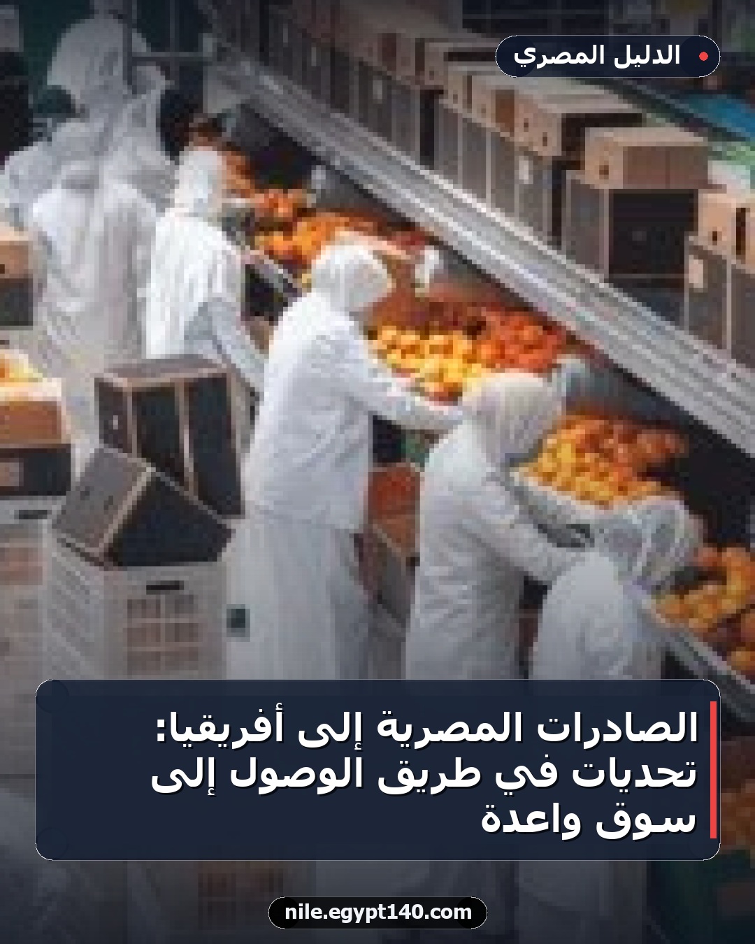 الصادرات المصرية إلى أفريقيا: تحديات في طريق الوصول إلى سوق واعدة