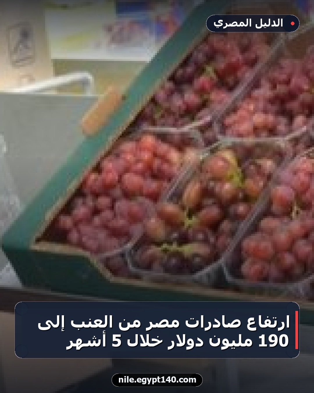 ارتفاع صادرات مصر من العنب إلى 190 مليون دولار خلال 5 أشهر