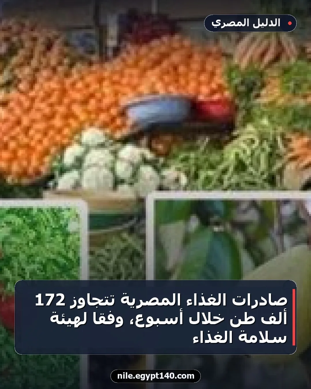 صادرات الغذاء المصرية تتجاوز 172 ألف طن خلال أسبوع، وفقاً لهيئة سلامة الغذاء
