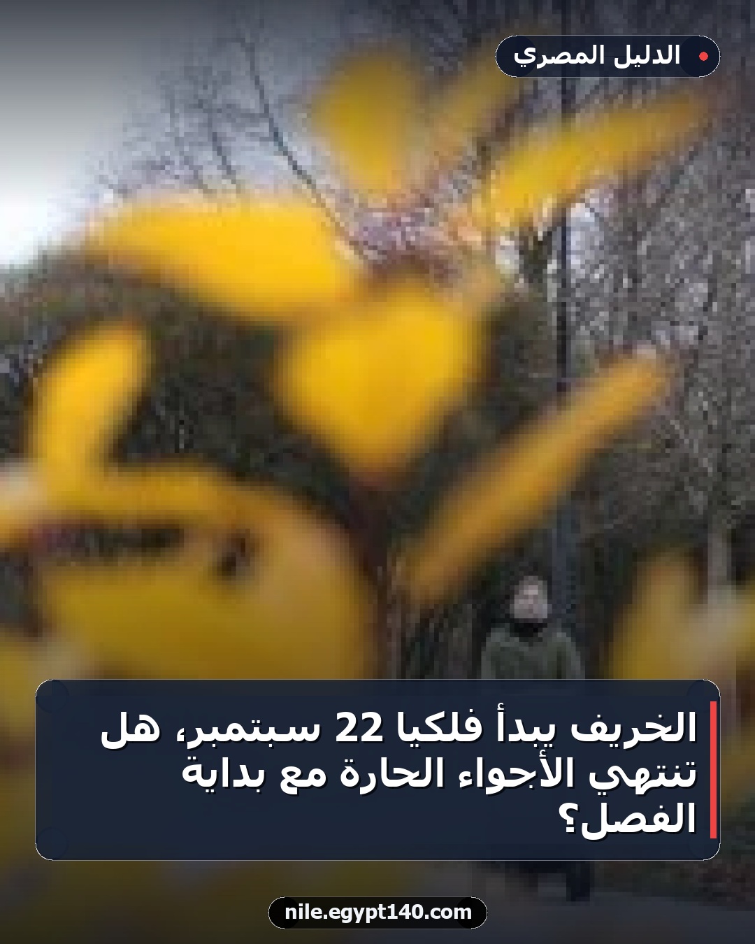 الخريف يبدأ فلكيًا 22 سبتمبر، هل تنتهي الأجواء الحارة مع بداية الفصل؟
