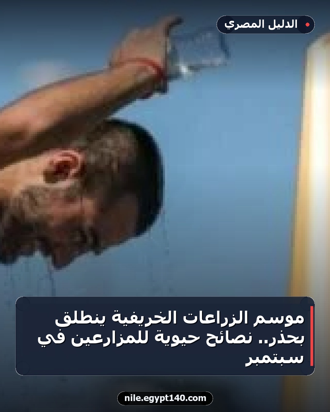 موسم الزراعات الخريفية ينطلق بحذر.. نصائح حيوية للمزارعين في سبتمبر