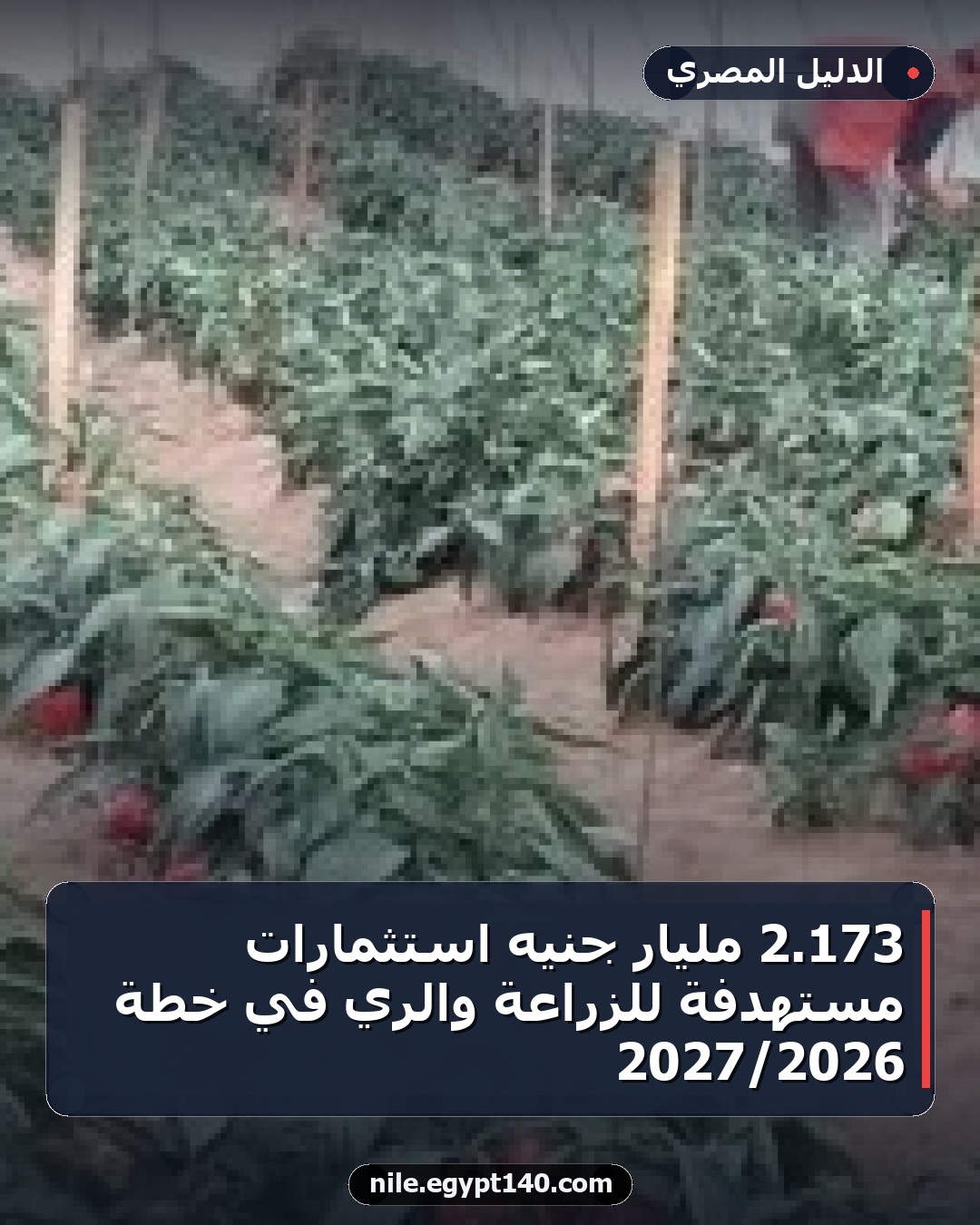 173.2 مليار جنيه استثمارات مستهدفة للزراعة والري في خطة 2026/2027
