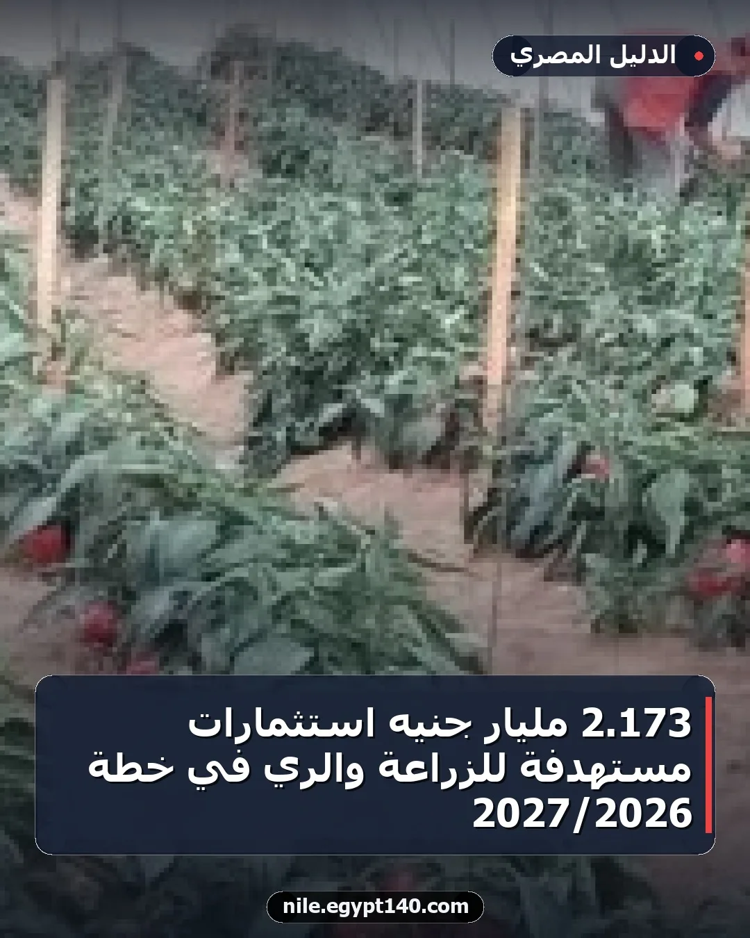 173.2 مليار جنيه استثمارات مستهدفة للزراعة والري في خطة 2026/2027