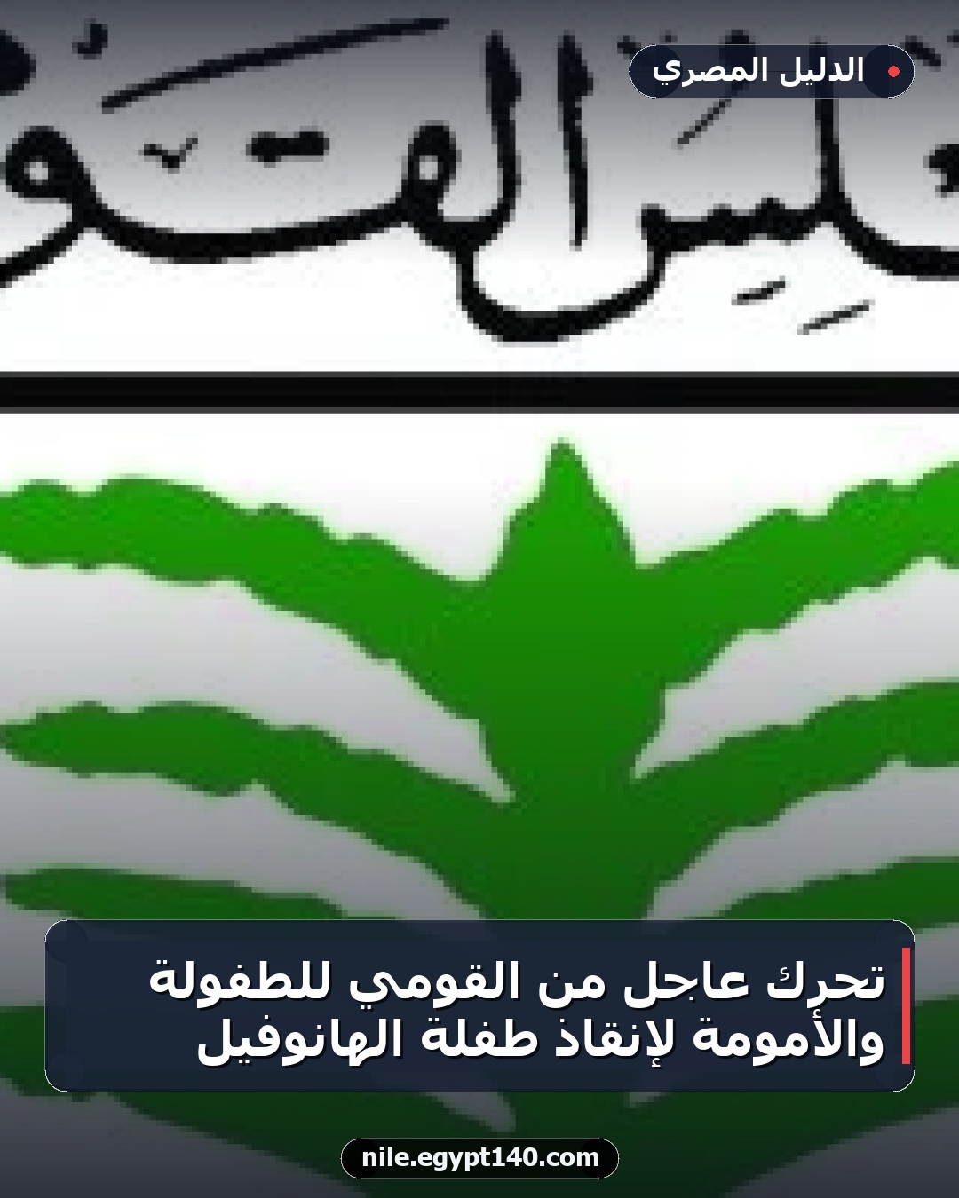 تحرك عاجل من القومي للطفولة والأمومة لإنقاذ طفلة الهانوفيل