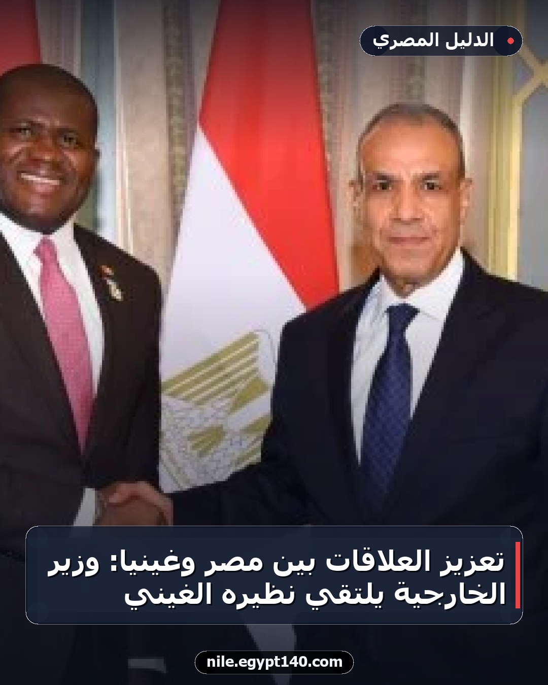 تعزيز العلاقات بين مصر وغينيا: وزير الخارجية يلتقي نظيره الغيني