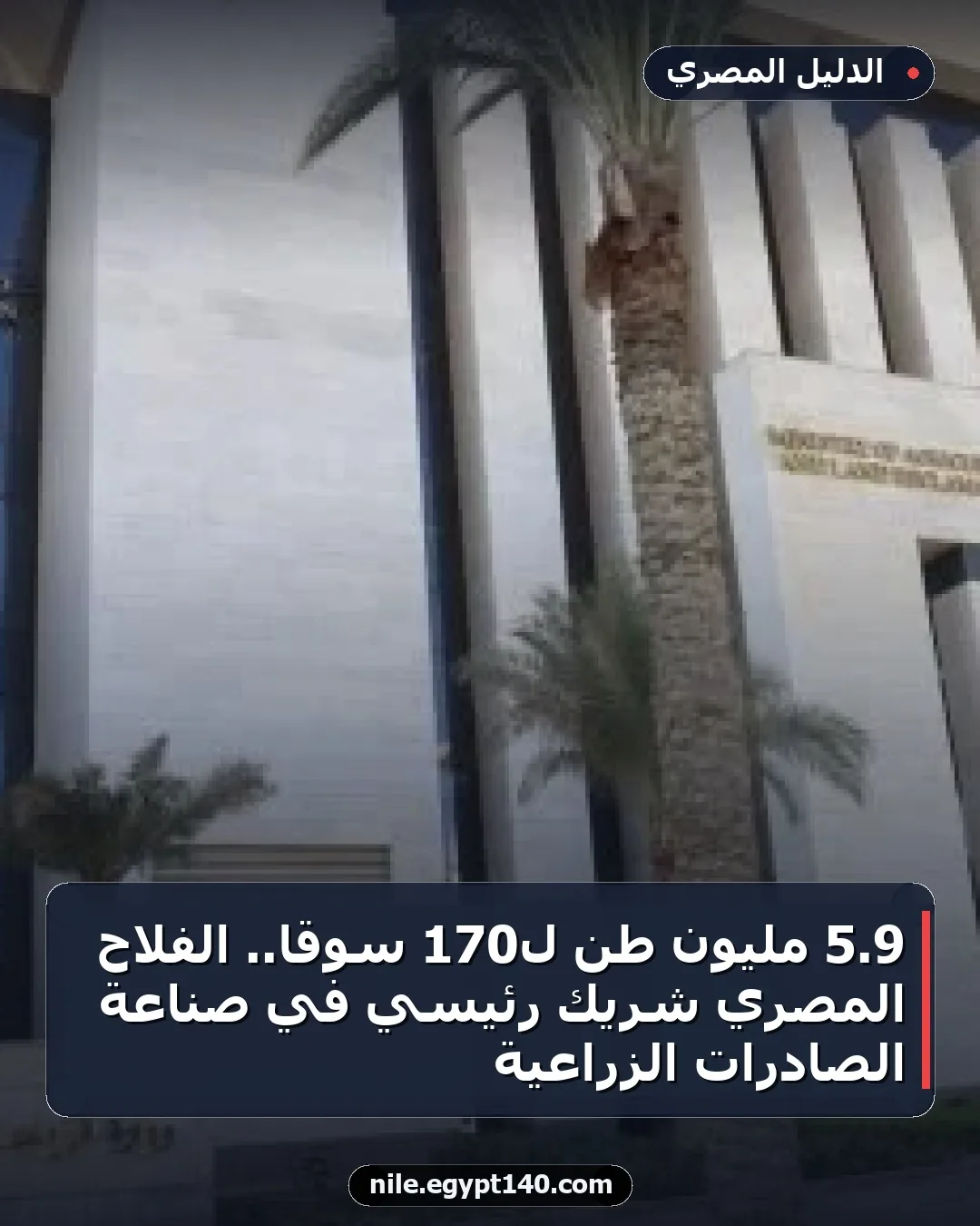 9.5 مليون طن لـ170 سوقًا.. الفلاح المصري شريك رئيسي في صناعة الصادرات الزراعية